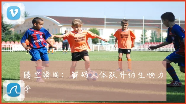 腾空瞬间：解码人体跃升的生物力学